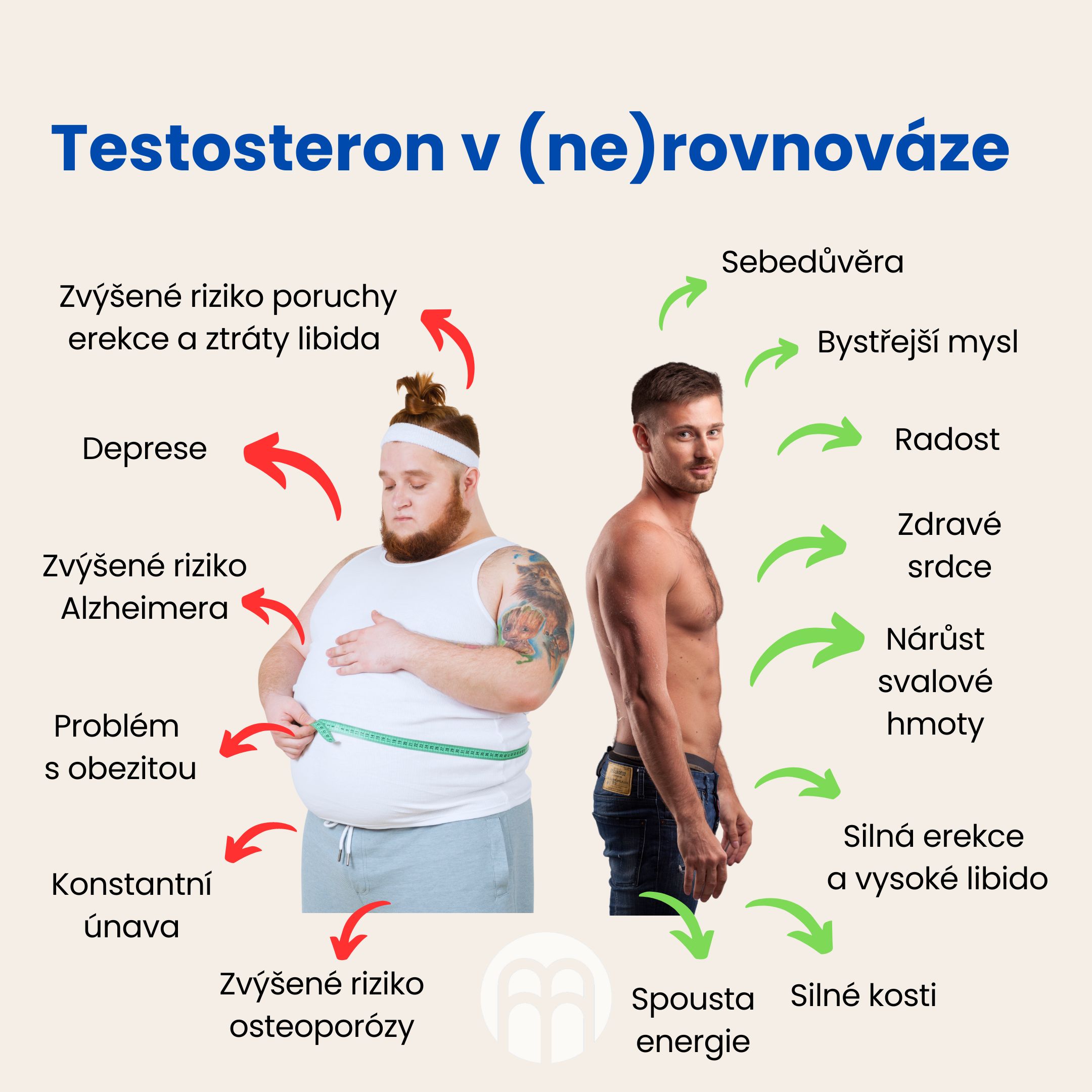 Testosteron v (ne)rovnováze (1)